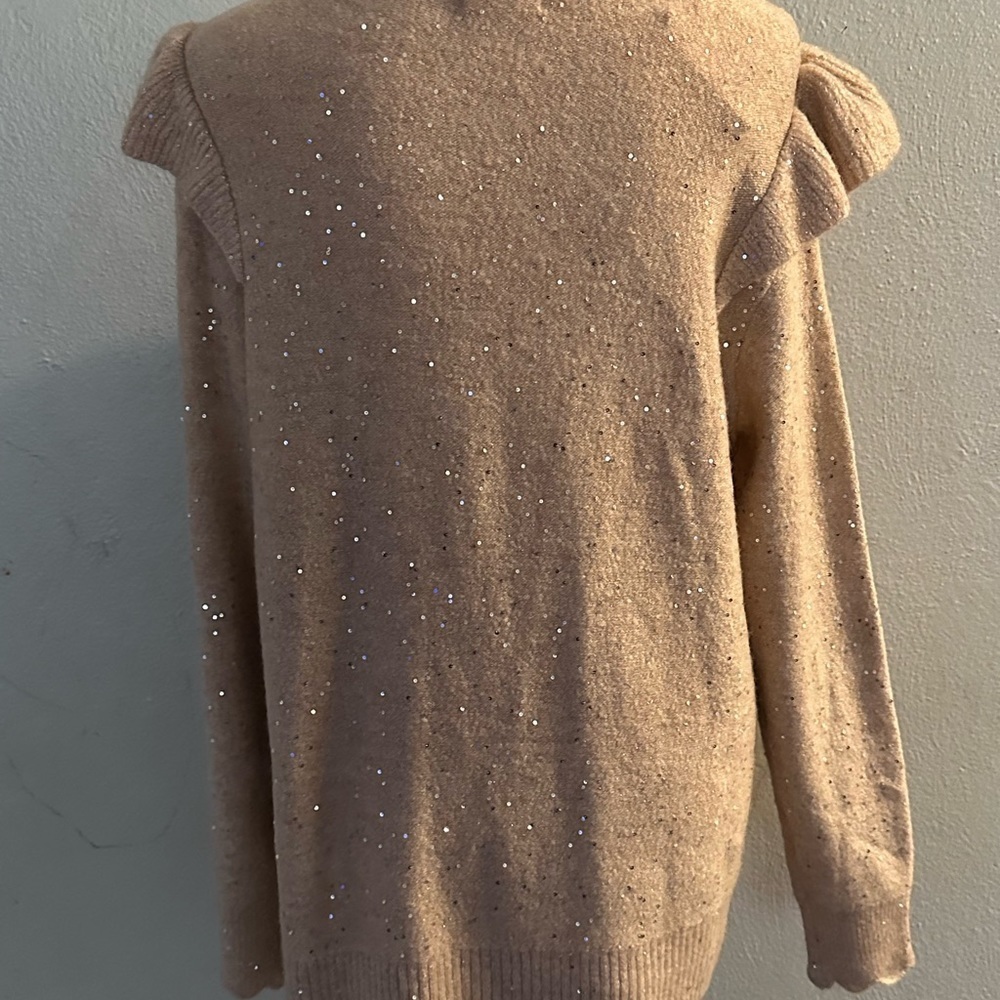 LC by Lauren Conrad size L sweater sequined - Picture 10 of 12
